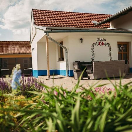 Apartman U Draba: Ubytovani Na Slovacku V Miloticich U Kyjova Milotice Zewnętrze zdjęcie