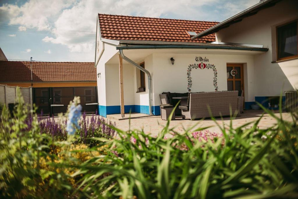 Apartman U Draba: Ubytovani Na Slovacku V Miloticich U Kyjova Milotice Zewnętrze zdjęcie