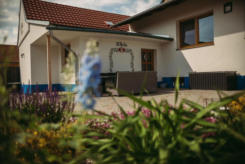 Apartman U Draba: Ubytovani Na Slovacku V Miloticich U Kyjova Milotice Zewnętrze zdjęcie